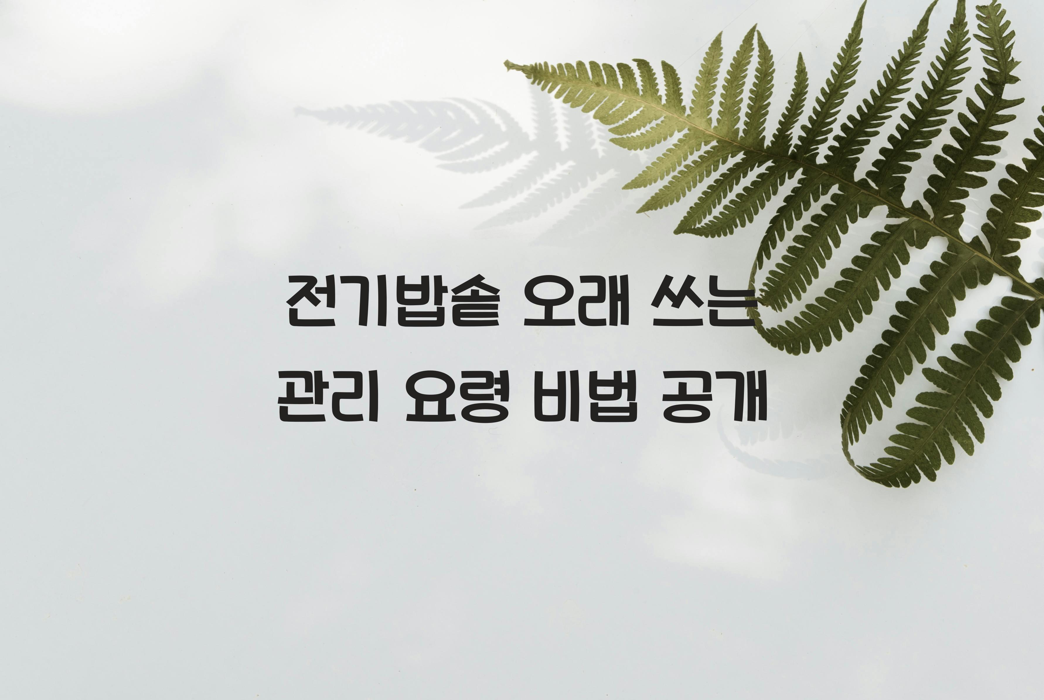 전기밥솥 오래 쓰는 관리 요령