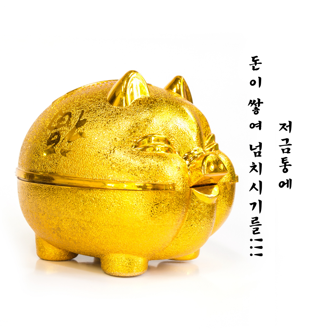 개업축하 화분 문구 인사말 모음