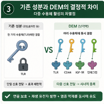 dem관절영양제-추천-효능-성분-효과-비교-가격