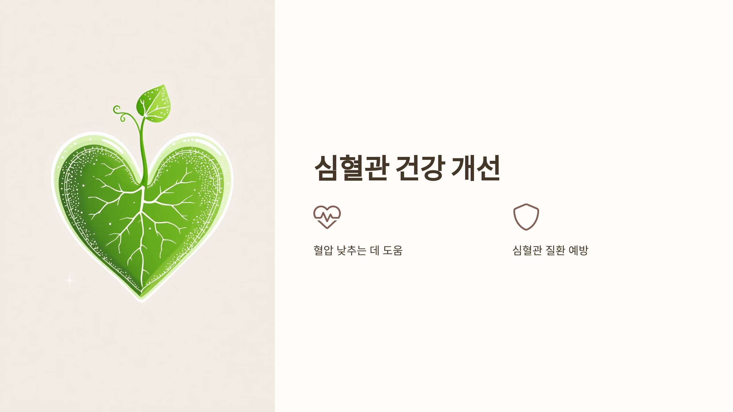 차전자피 사진입니다.