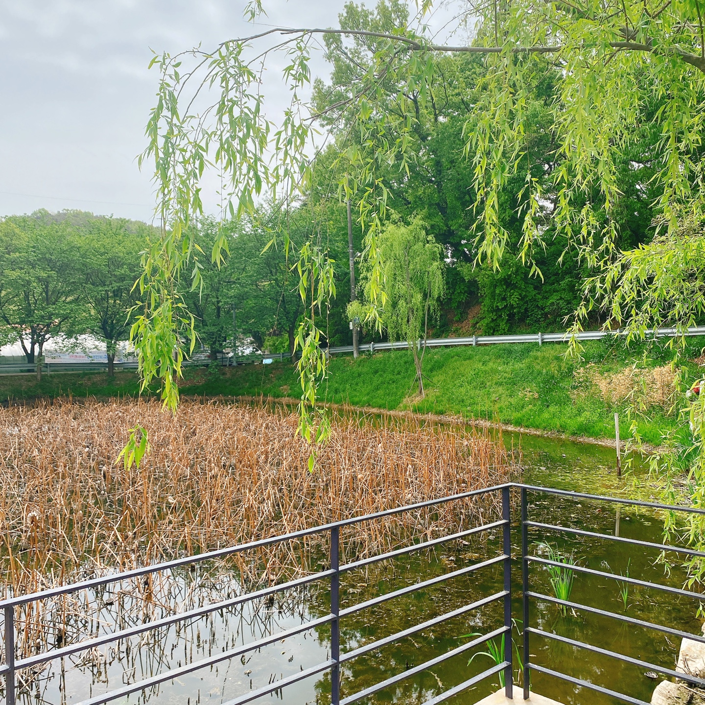충북 청주 부모산 주봉마을 주봉저수지 한옥 북카페 인문아카이브양림 후마니타스