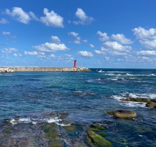 해외여행자-보험