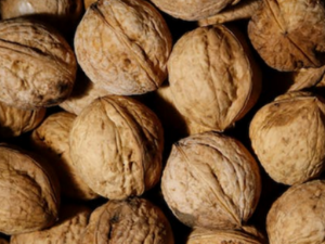 호두 기름 효능