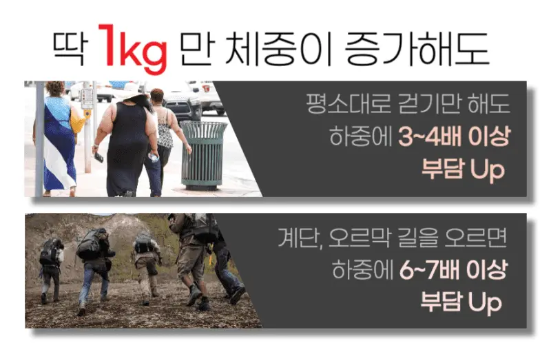 무릎관절영양제