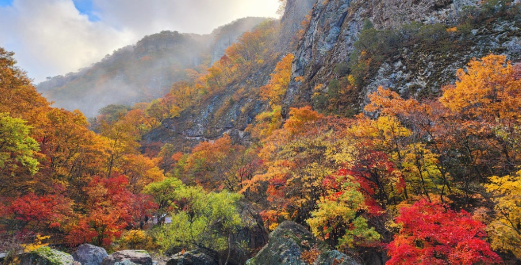설악산 단풍