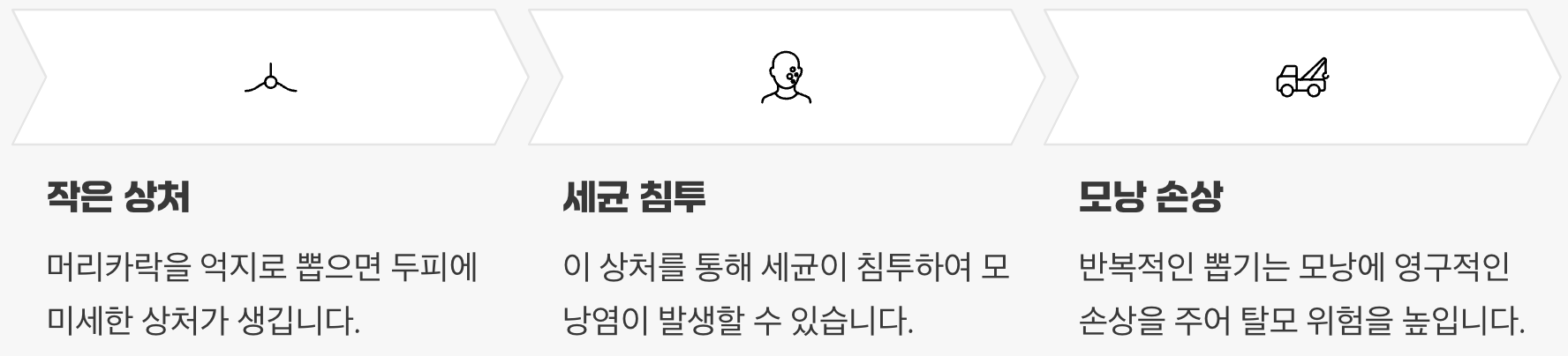 '뽑는 행위'가 두피에 미치는 영향