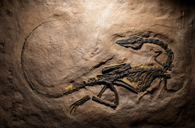 생방송투데이 이유있는성지순례 강원도삼척 강원종합박물관