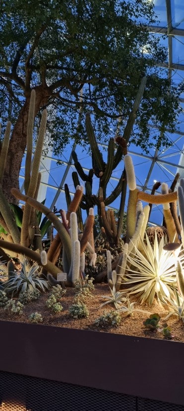 가든스 바이 더 베이 플라워 돔