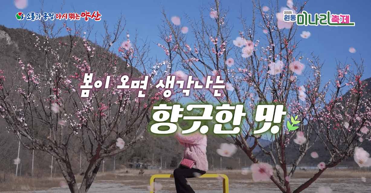 원동 미나리축제