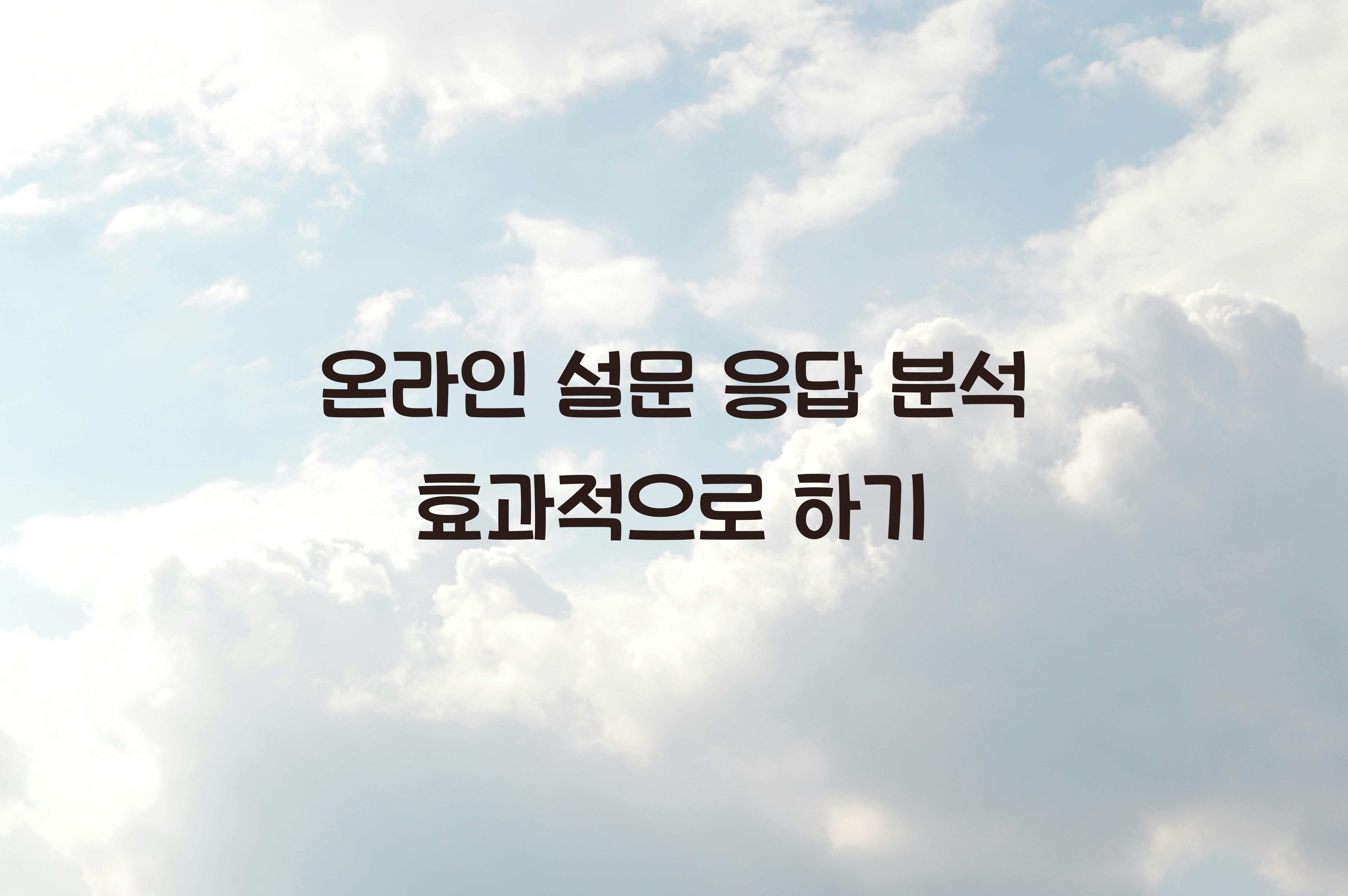 온라인 설문 응답 분석  