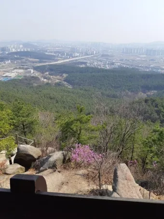 수원 칠보산 등산 코스 추천 용화사 코스로 여유롭게 걷기_6