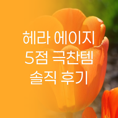 별점 5점 헤라 에이지 어웨이, 왜 