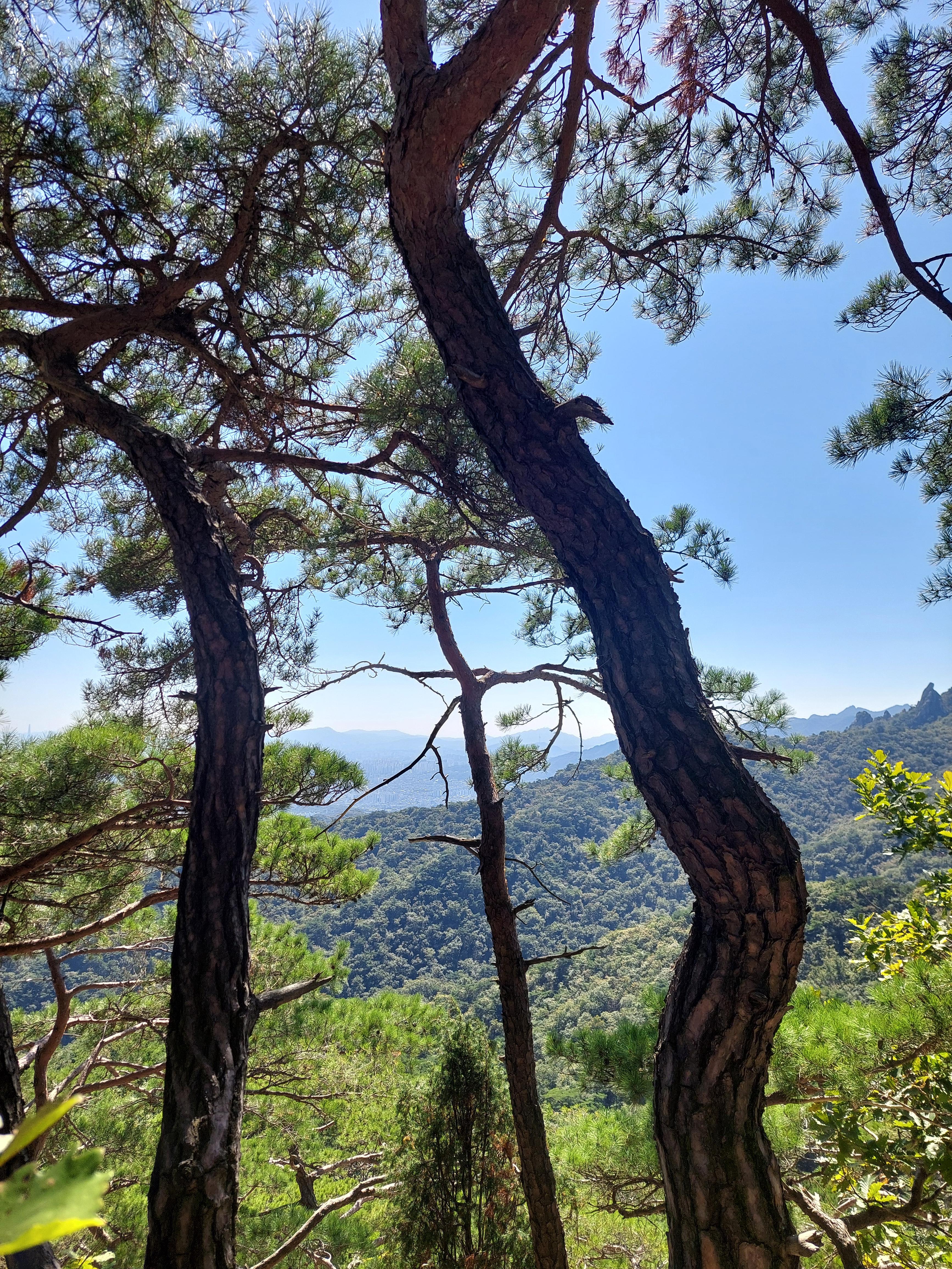 도봉산