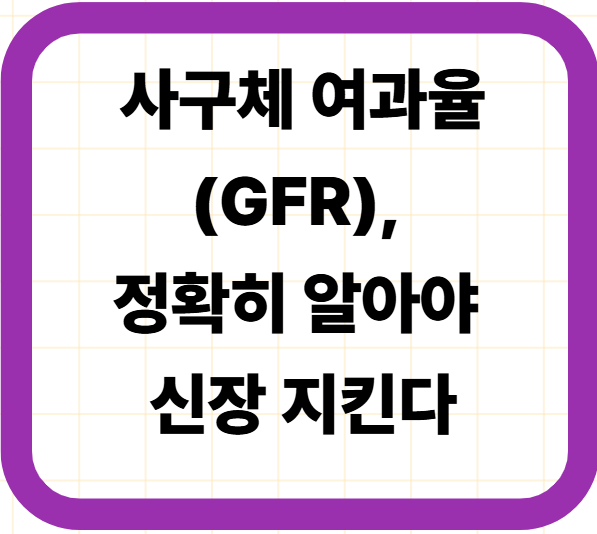사구체 여과율(GFR), 정확히 알아야 신장 지킨다