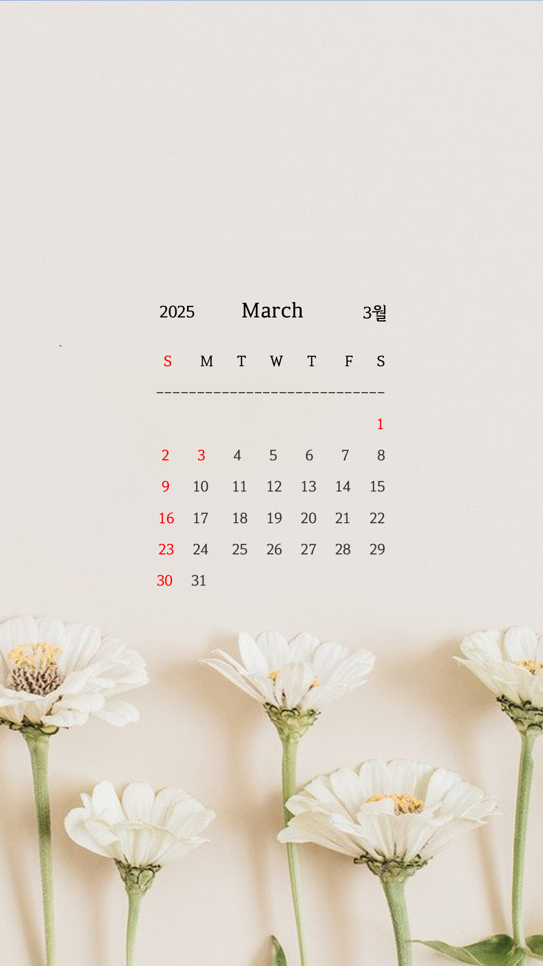 25년 3월 달력 2025년 3월달력 이미지 프린트 출력 인쇄 폰 배경화면 PC 바탕화면 무료 다운로드5