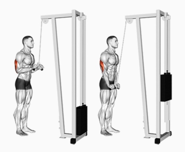 케이블-푸쉬다운