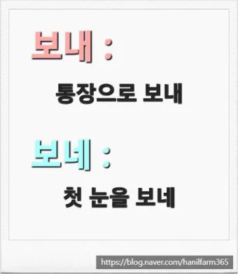 보내 보네 헷갈리는 맞춤법 올바른 표기 완벽 정리_3