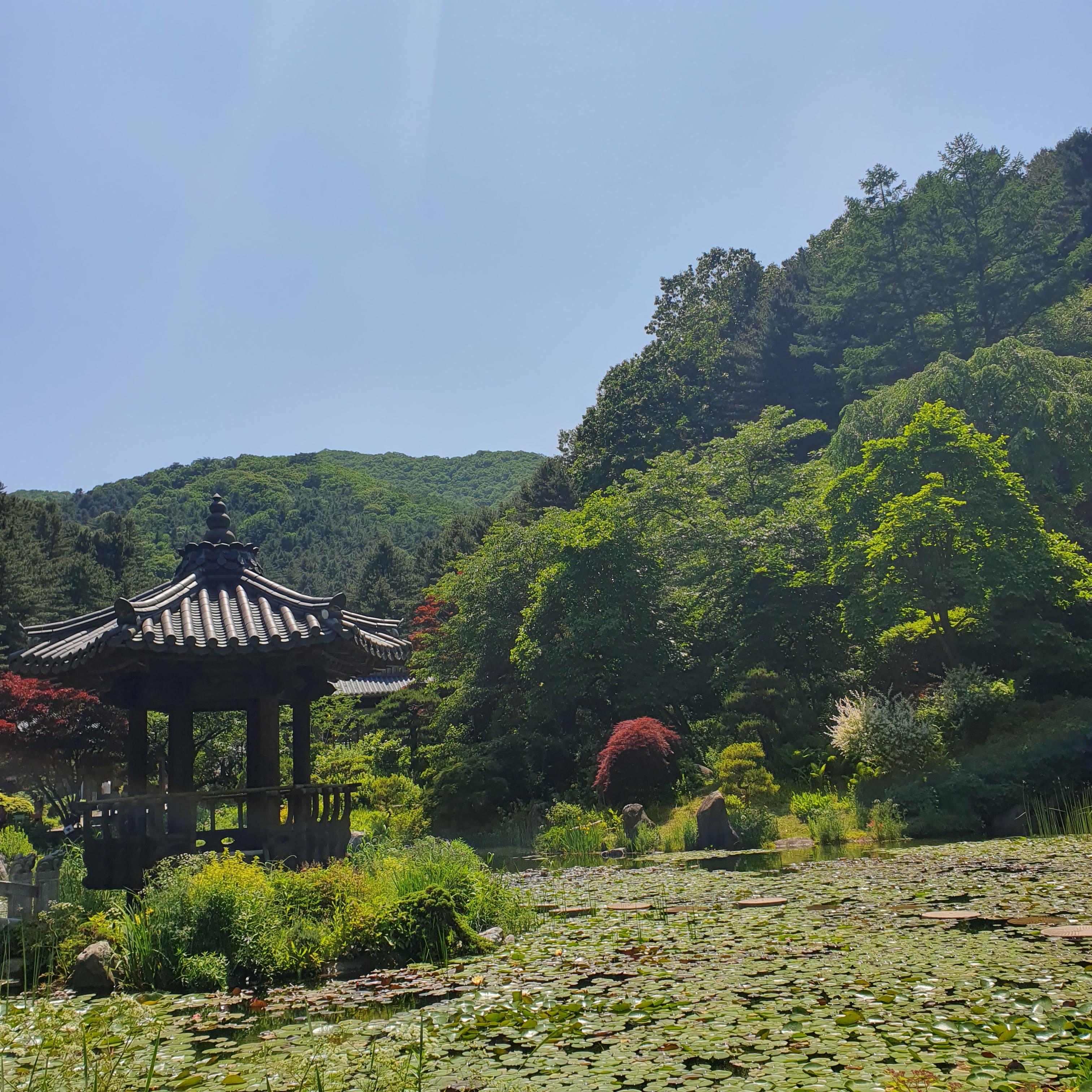 서화연