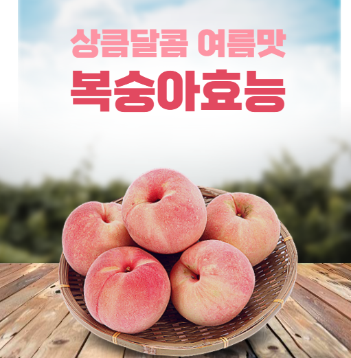 복숭아효능