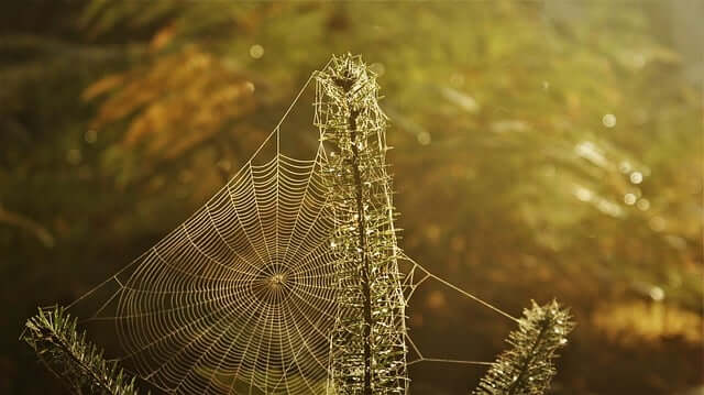 결정을 못하는 뇌 - 정보 과잉과 디지털 선택 피로의 뇌과학적 연결