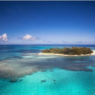 로밍 도깨비 사용법