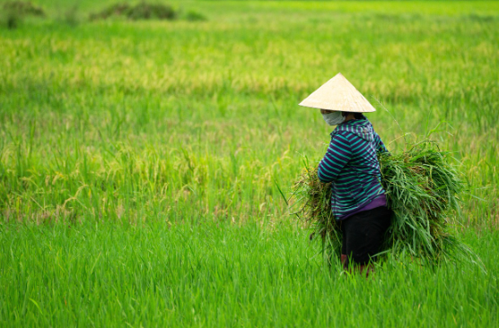 골목문화로 본 삶의 기록, 담장 너머 사람 사는 이야기