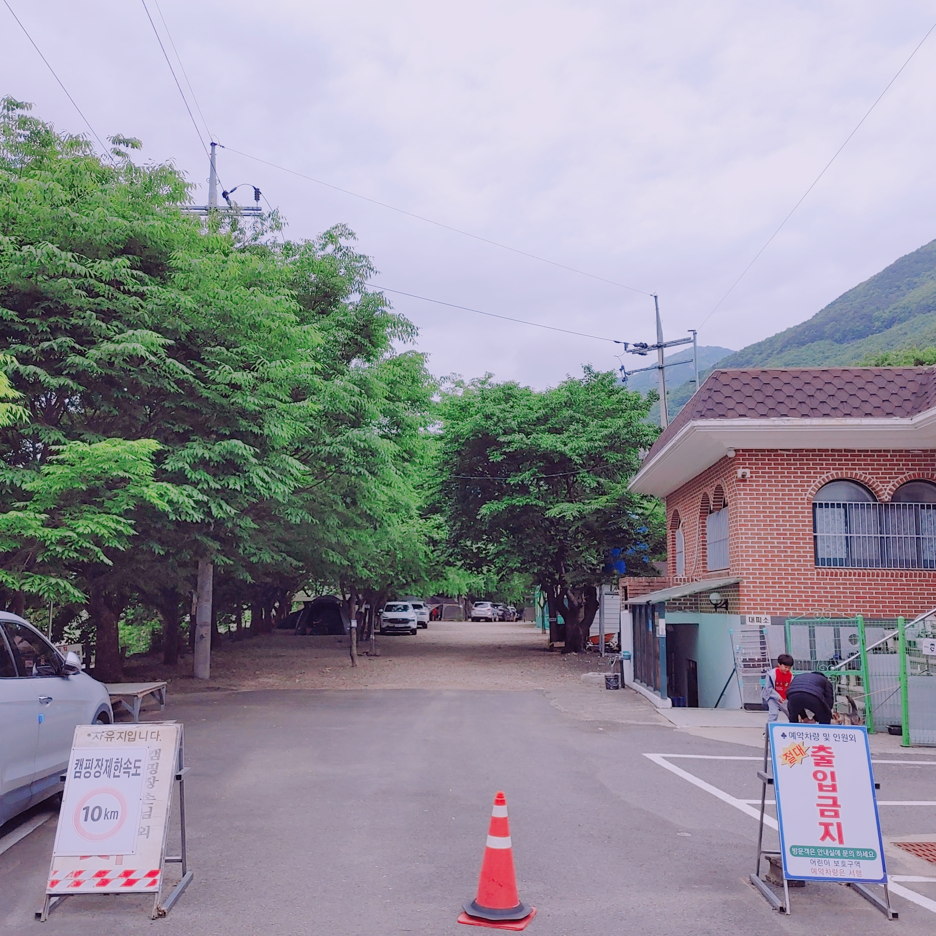 아이비_캠핑장_입구