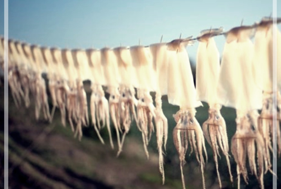 마른 오징어의 효능중에서 Top4.