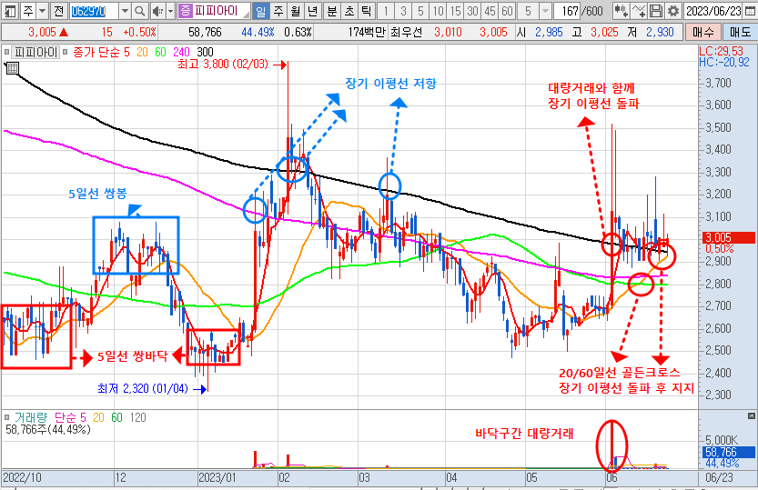 6월 23일 피피아이 차트-일봉