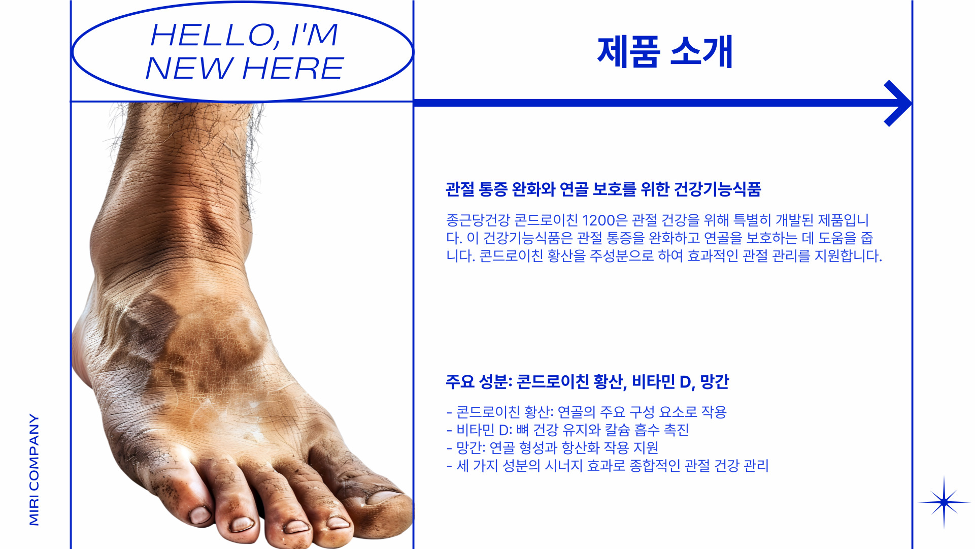 종근당건강 콘드로이친 1200