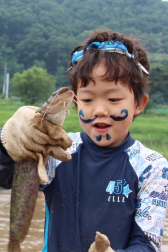 양평메기수염축제