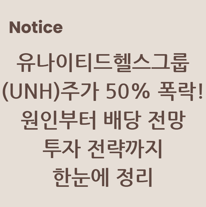 유나이티드헬스그룹(UNH) 주가 50% 폭락! 원인부터 배당 전망, 투자 전략까지 한눈에 정리