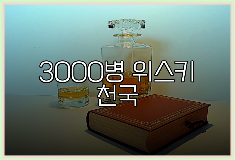 3000병 위스키 천국