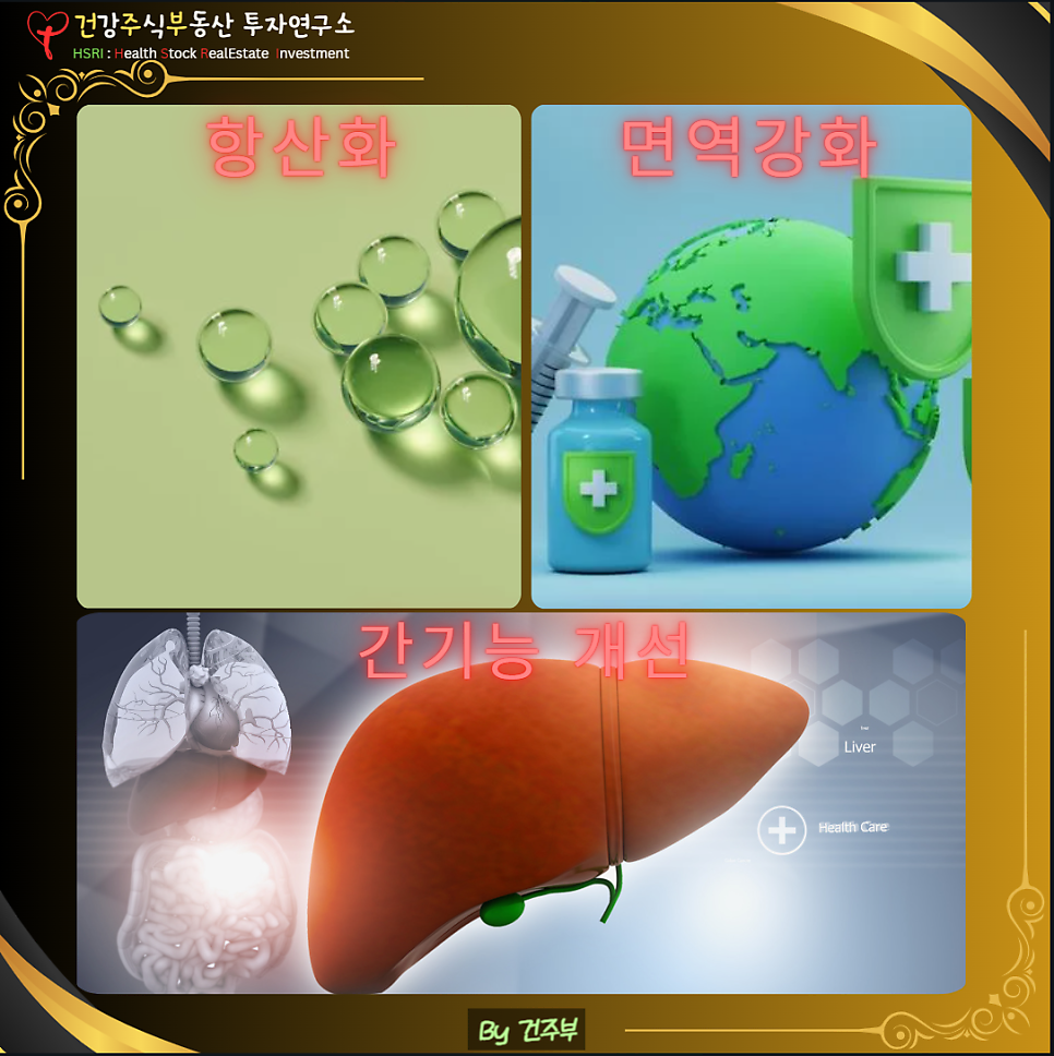 수용성 커큐민의 효능

(글 그림 : 건주부, 그림 출처 : Canva)