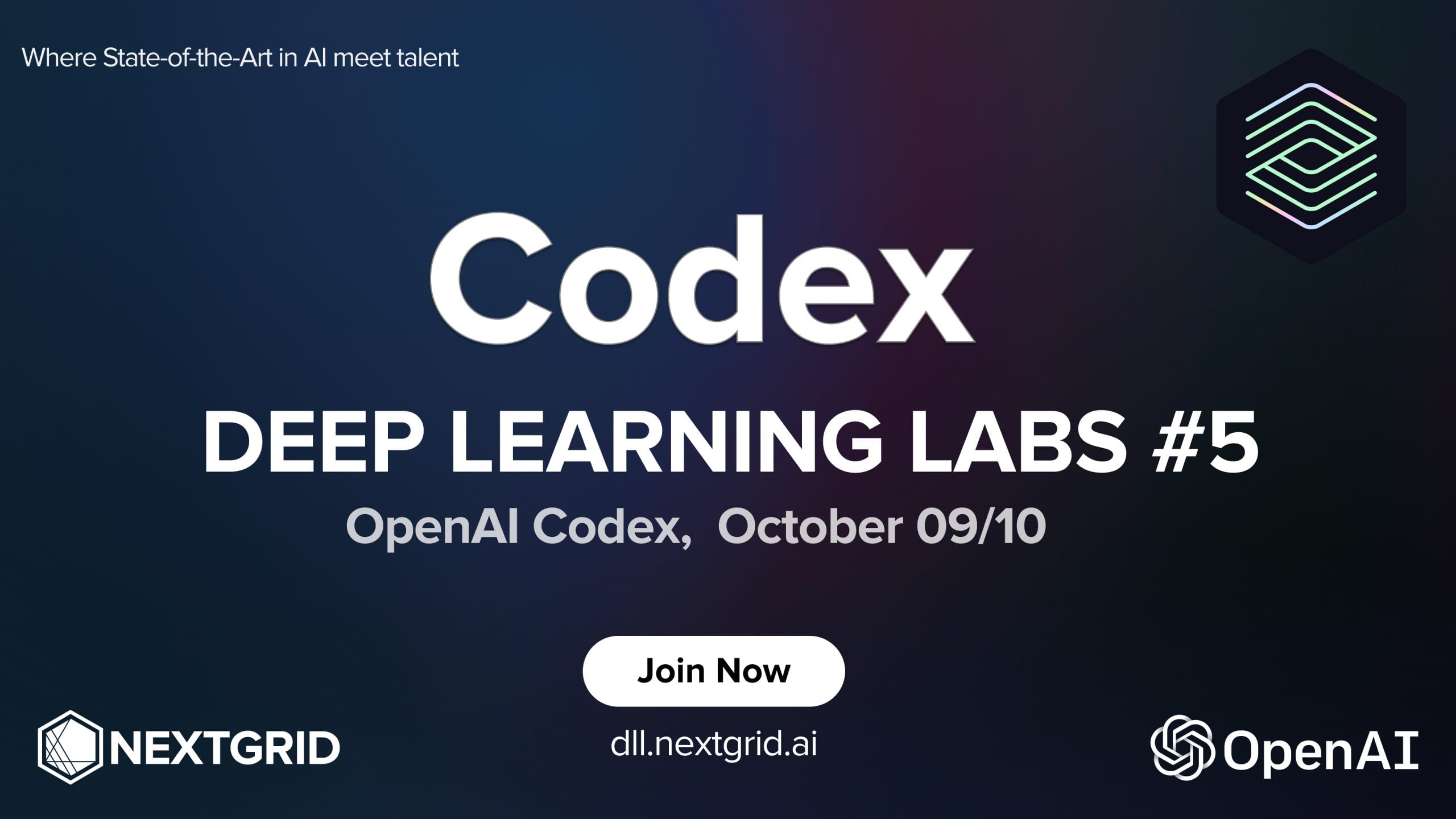 Codex가 몰고 온 개발자의 대격변｜AI 시대 생존 전략 리포트