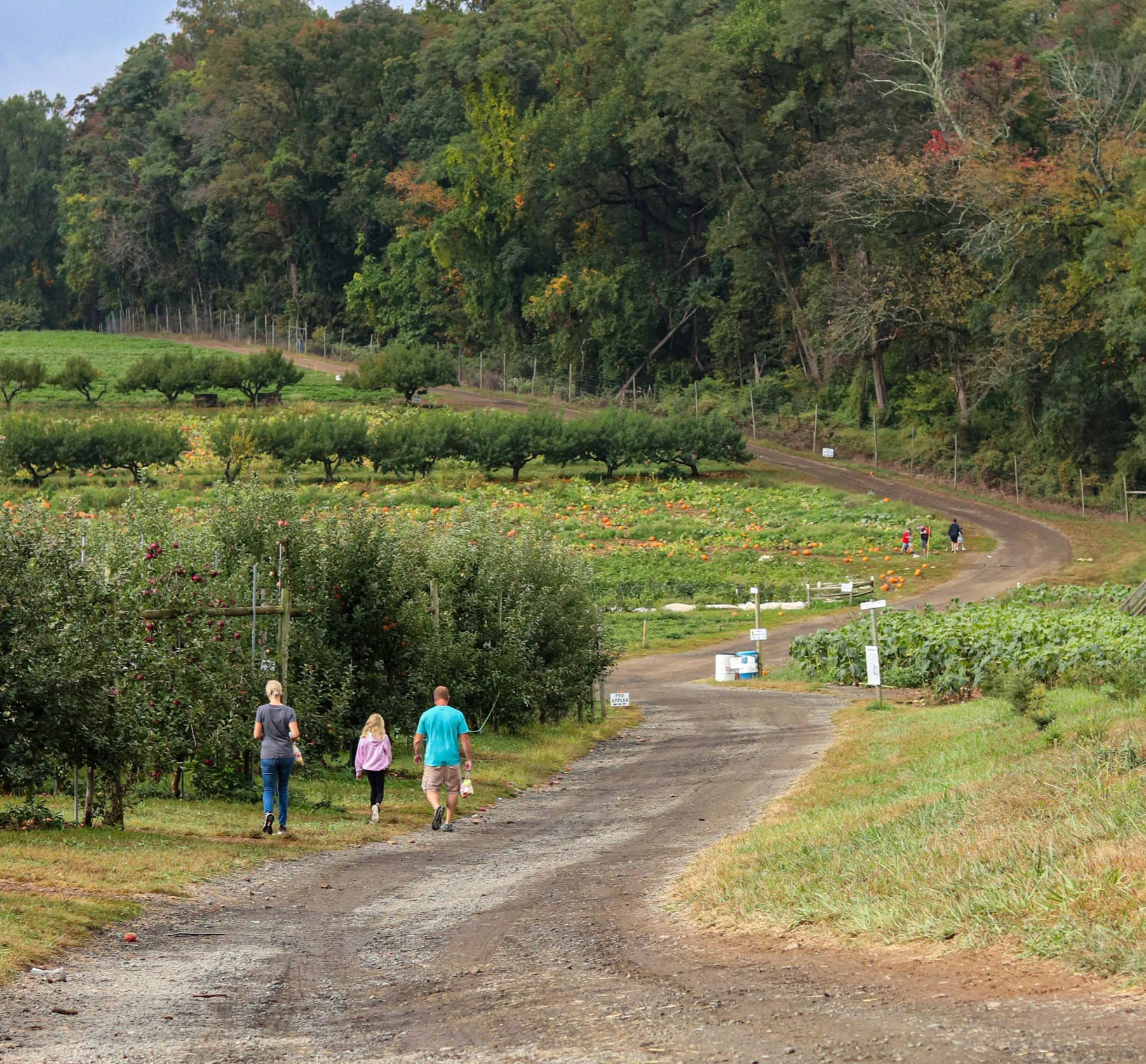 “1인농업 차업 준비일지 11탄 - 귀농 블로그로 고정 수입 만들기, 우리가 만든 현실 가능한 수익 루틴”