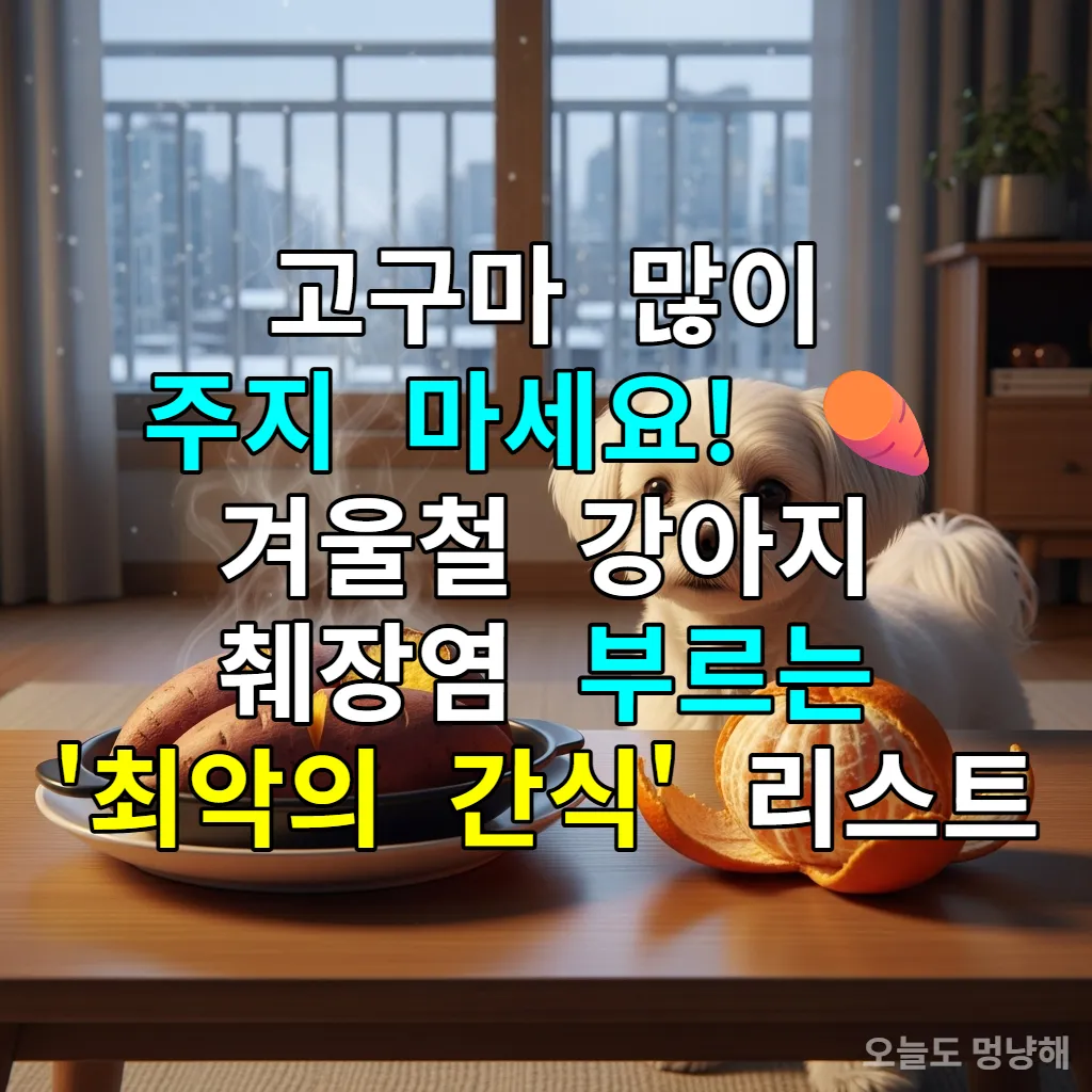 따뜻한 한국 아파트 거실에서 군고구마와 귤을 바라보는 귀여운 말티즈 강아지
