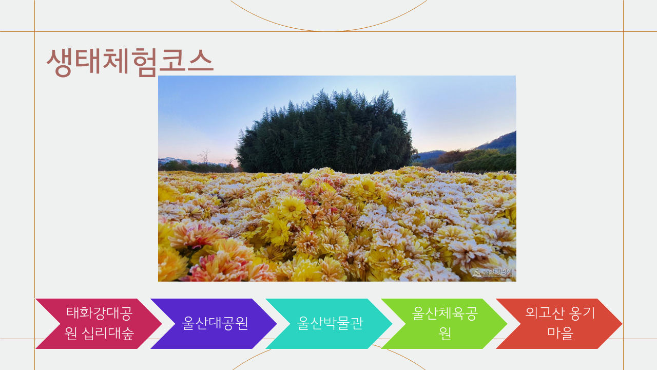 울산 생태 공원 여행 코스