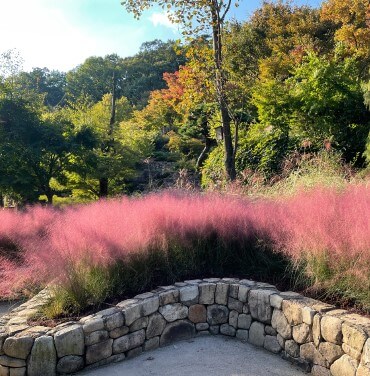 화담숲 가을 단풍축제
