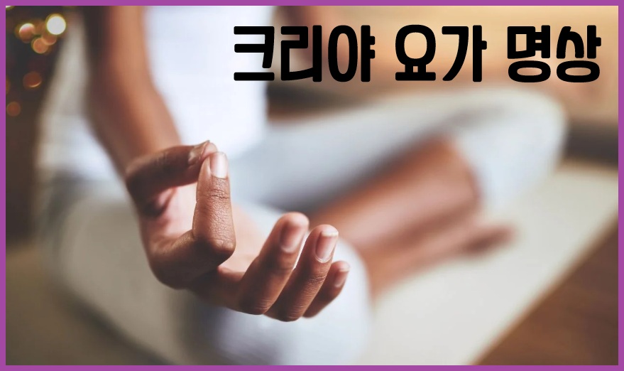 크리야 요가 명상