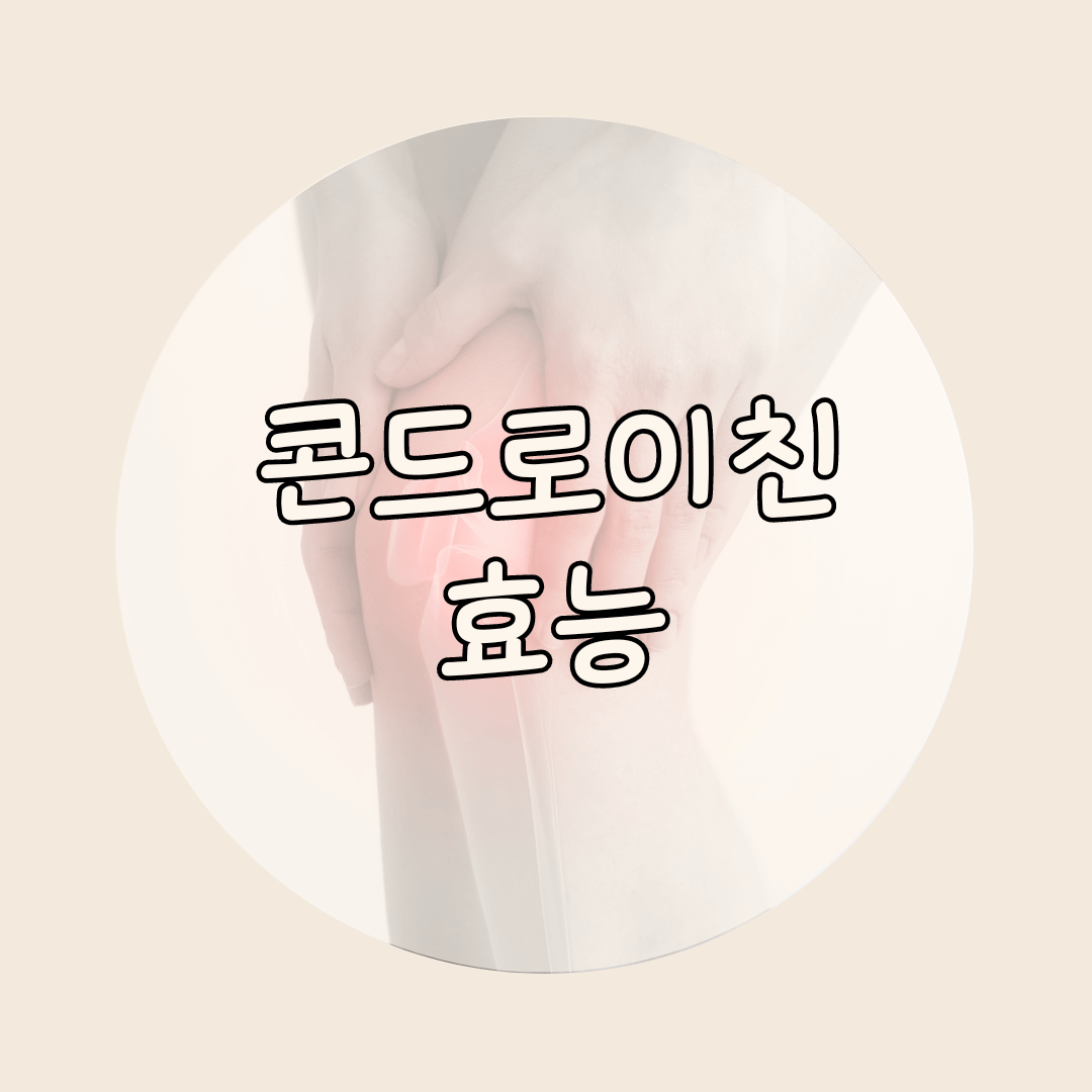 콘드로이친의 효능