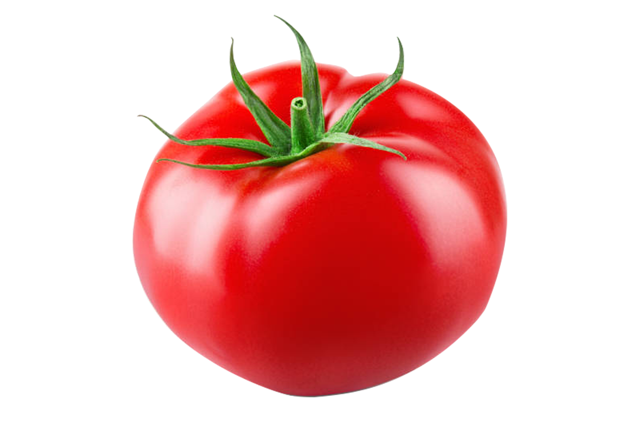 [대저 토마토 + 짭짤이 토마토 효능 + 보관 방법 완전 정리]