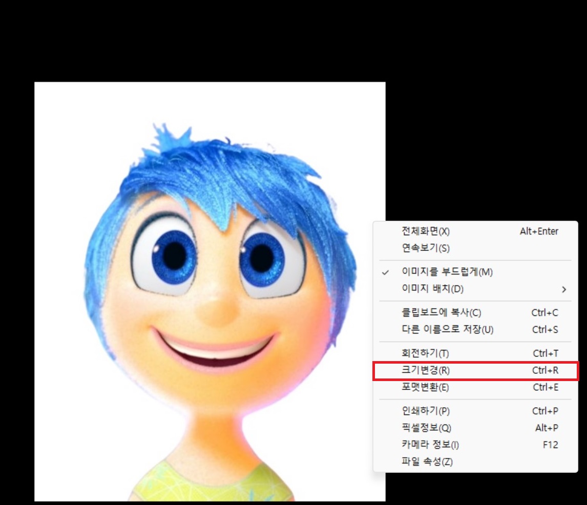 크기 변경 선택