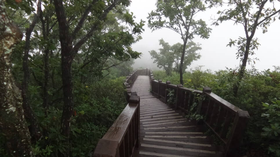 100대 명산 등산하기 쉰한번째 합천 황매산 사계절에 빛나는 억새&middot;철쭉 명산