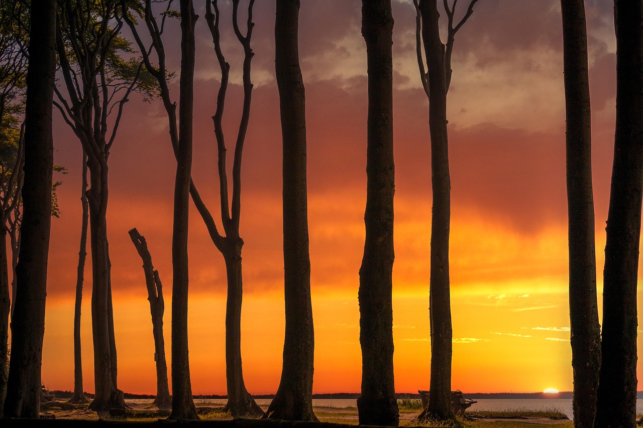 고소작업대 렌탈