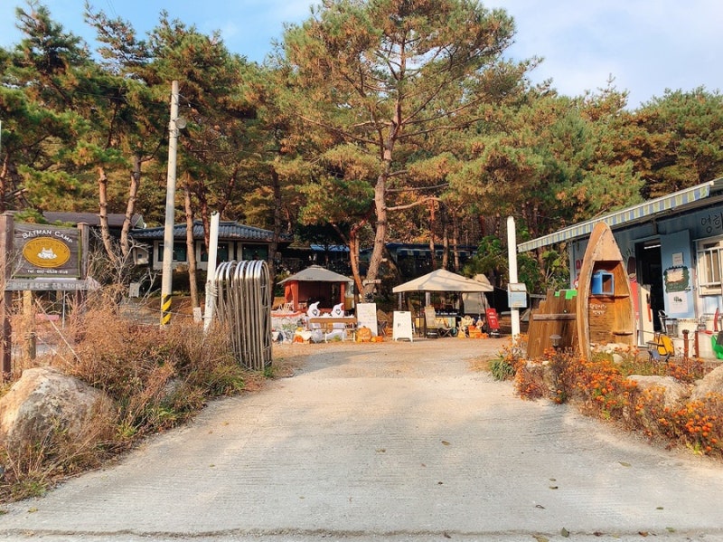 춘천 황금박쥐캠핑장 소개