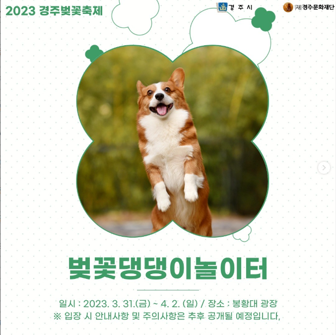 경주 벚꽃축제 일정 및 교통 통제 안내
