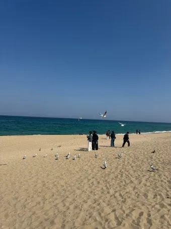 경포대 해수욕장 여름 물놀이 여행지와 맛집 코스 정리_9