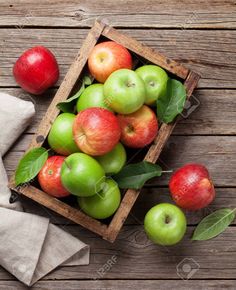 신장에 좋은 음식 만성 신장 통증 증상 질환 환자 좋은음식 나쁜 음식