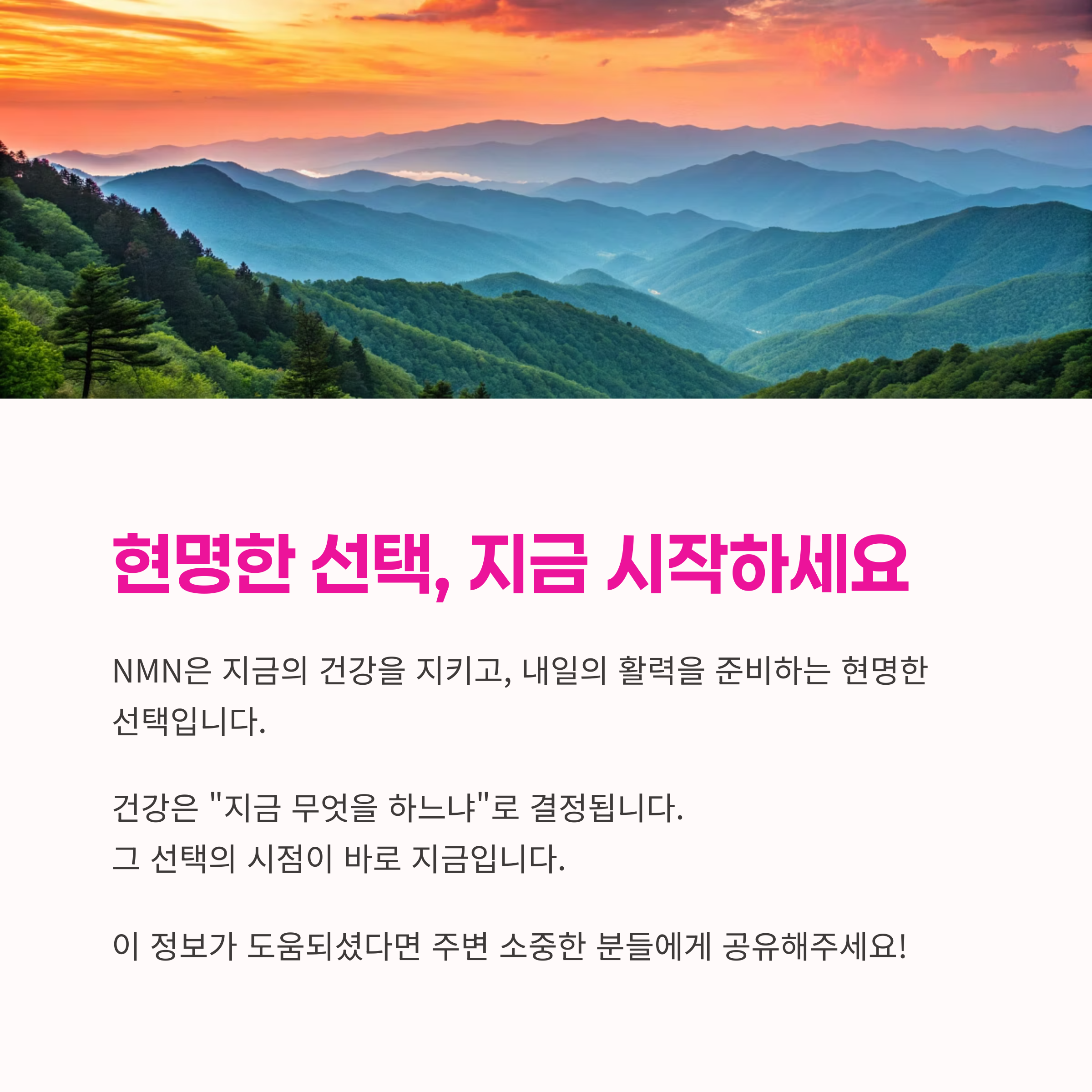 건강관리, 항노화성분